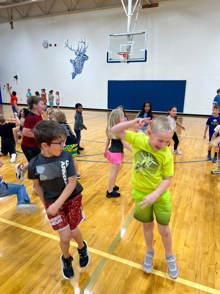 Live Feed Elkton School District 53