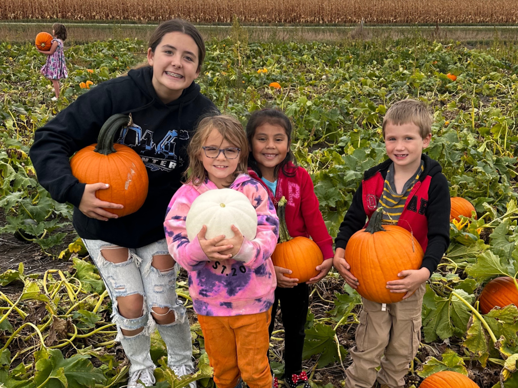 Live Feed Elkton School District 53